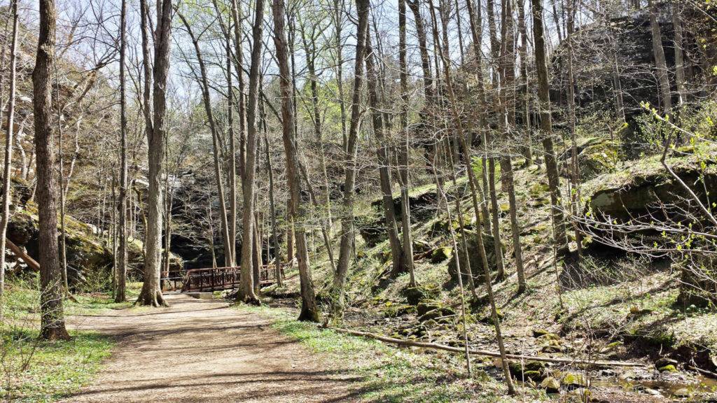 Hiking trail at Ferne Clyffe State Park in the Shawnee National Forest