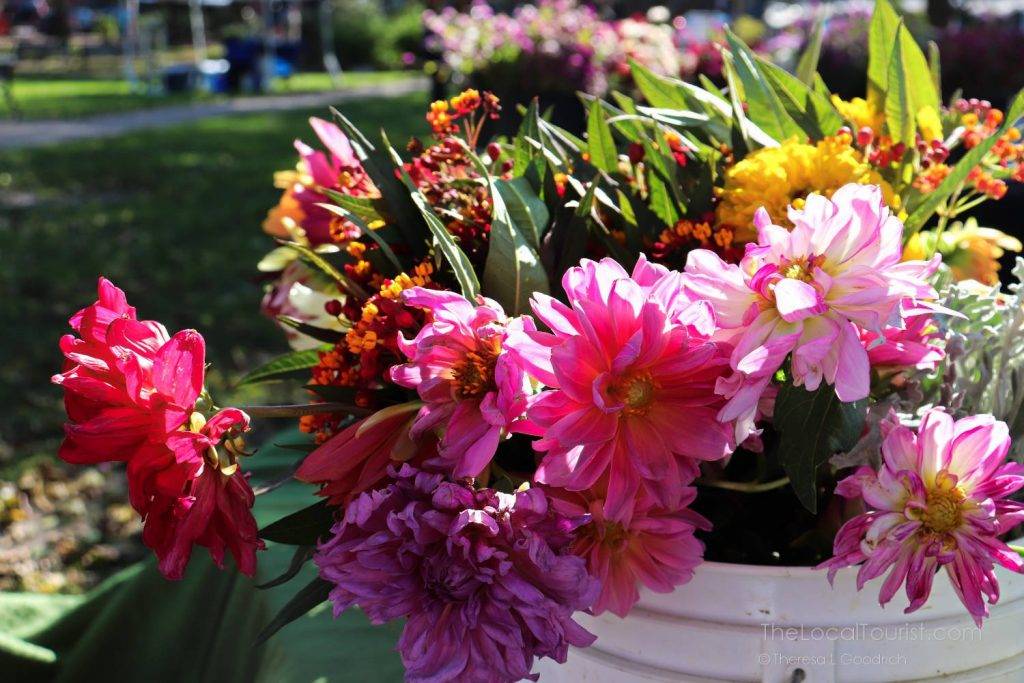 Flowers at Woodstock Farmers Market