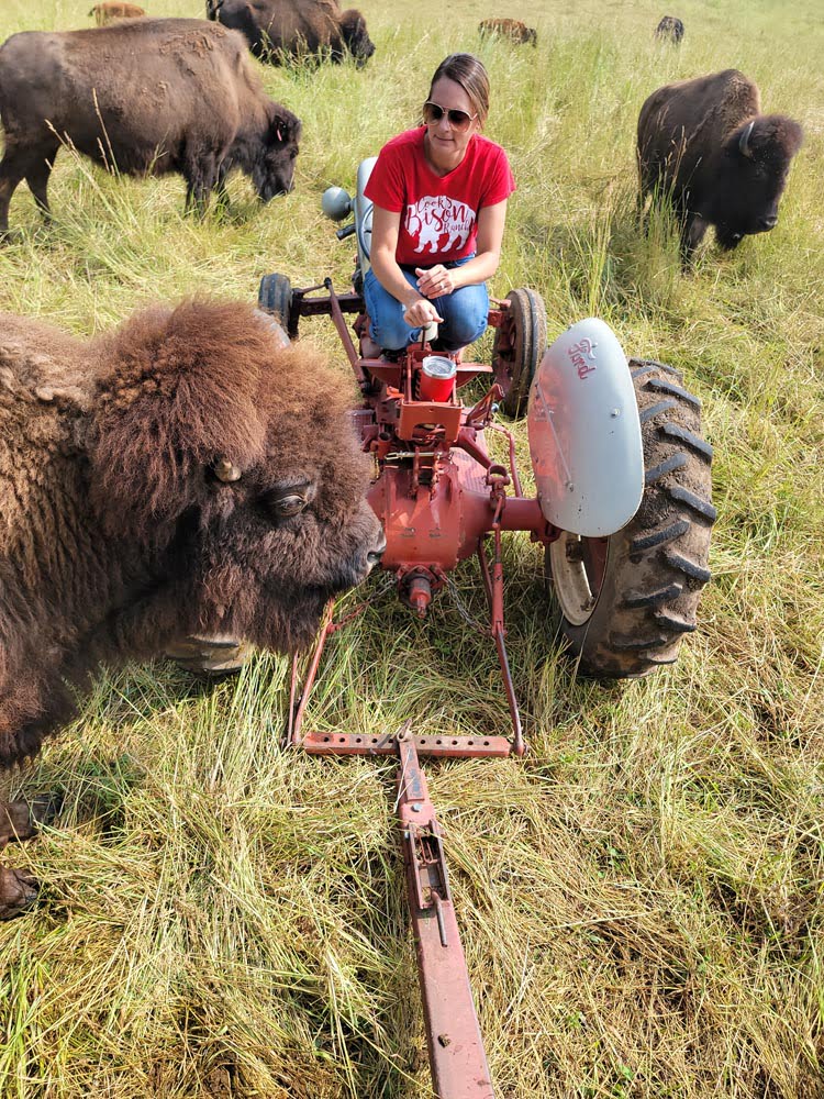 Erica sitting on the tractor surrounded by bison