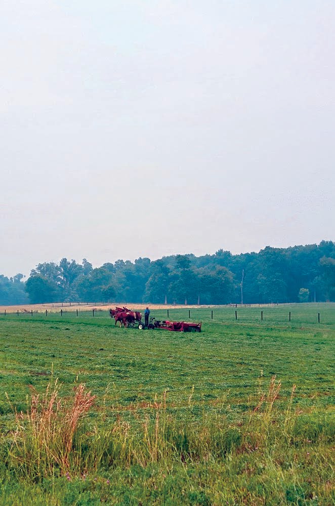 Farmer plowing a field in Shipshewana, Indiana Amish country