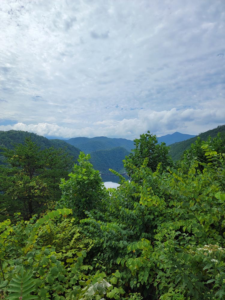 View from the Tail of the Dragon